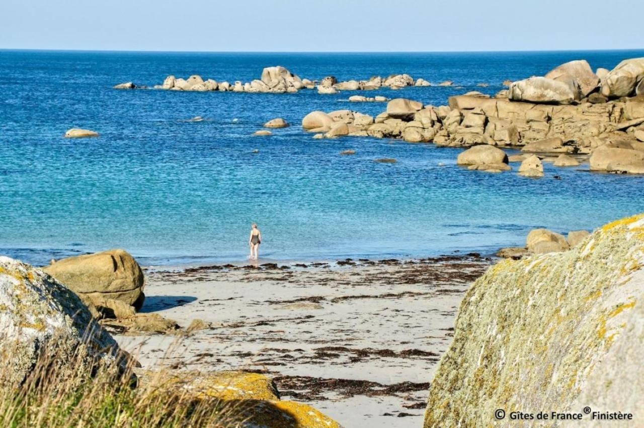 Les Roseaux